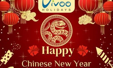 Happy Chinese New Year 2025!